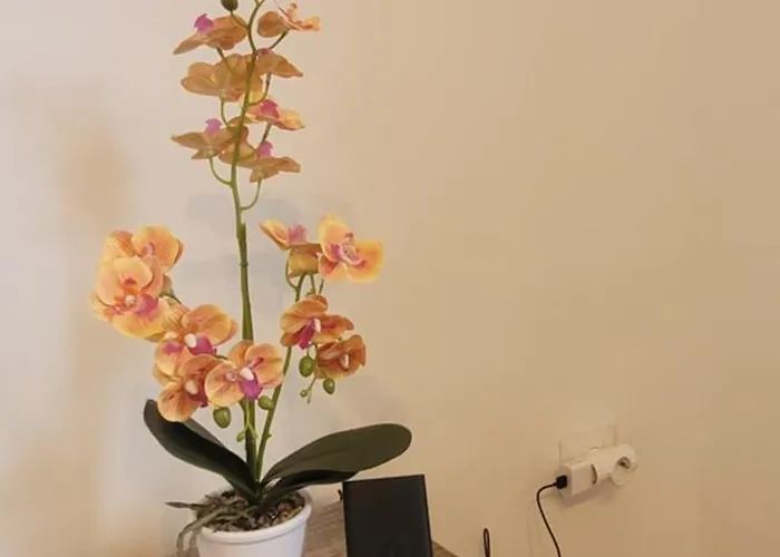 A La Classe Apartmán Podgorica